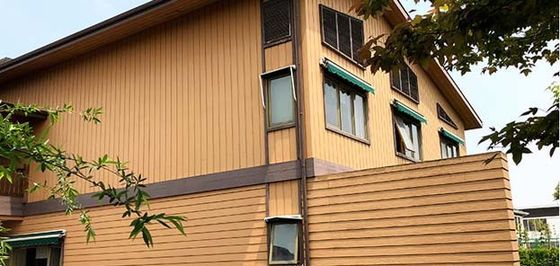 Openlucht Buitenwpc de Muurcomité 219mmx26mm van de Muurdecoratie Muurbekleding