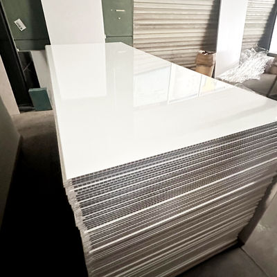 Duurzame, langdurige plastic douchewandpanelen voor badkamerverbouwing