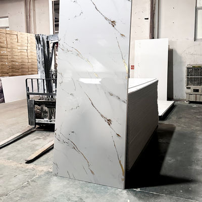 Eco-vriendelijk waterdicht PVC douchewandpaneel Makkelijk schoon oppervlak