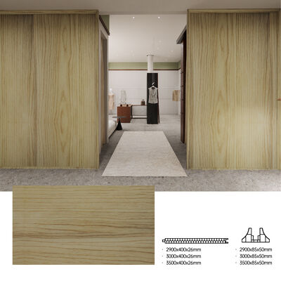 Waterdicht Vuurdicht Vochtdicht PVC-schermpaneel Muurpaneel Voor binnenruimte