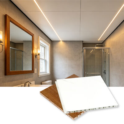 Lichte, hoge sterkte 9 mm aluminium honingraatplaten voor wandbekleding