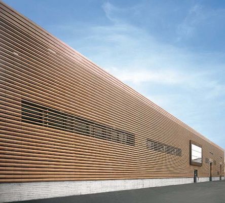 Co-Comité van de Uitdrijvings Extern Muur 219x26mm voor Openluchtmuurdecoratie