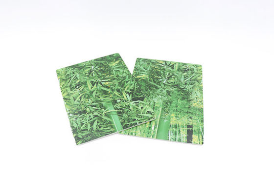 Waterdichte Hoge Glanzende pvc-Comités voor Binnenlands UV de Muurcomité van de Muren 3D Druk