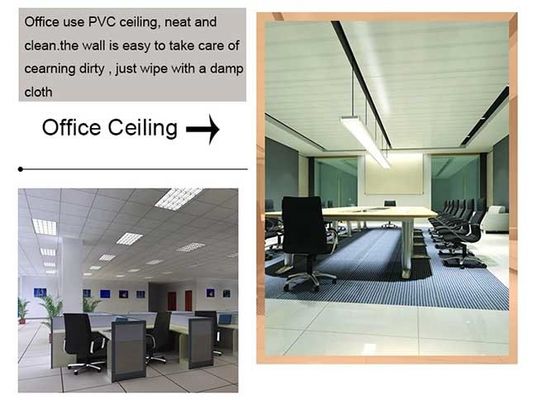 Het Plafondcomité van Bouwmaterialen Binnenlandse Decoratieve pvc Muur