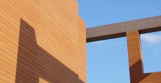 Co-de Muurcomité van Uitdrijvings Buitenwpc Bekleding Waterdicht voor Tuindecoratie